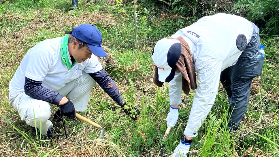 写真：2人のボランティアが下草刈りをしている様子
