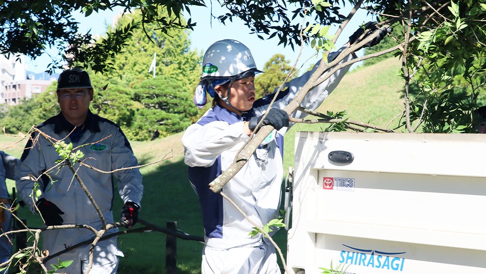 写真：清掃ボランティアが木の枝を片付けている様子
