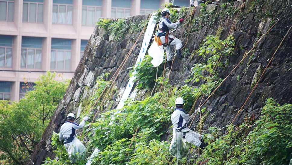 写真：複数のボランティアが石垣を清掃している様子