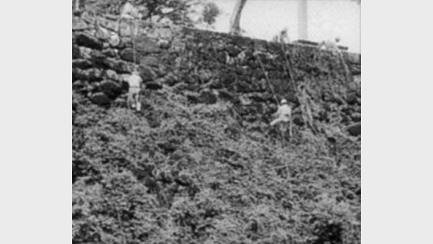 平成11年8月 八代城跡清掃（第1回）