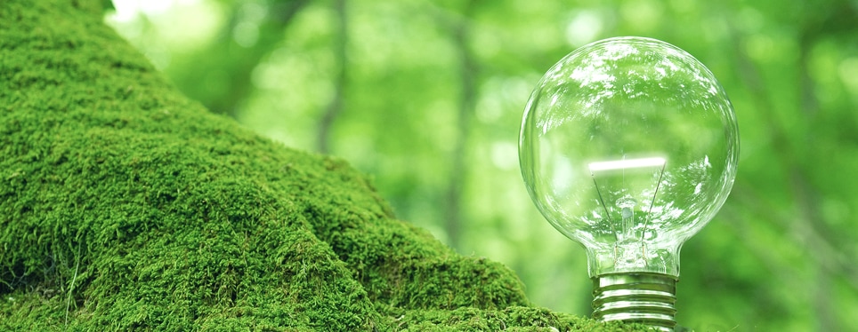 環境への取り組み